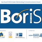 BORIS_logo_web_2011.jpg